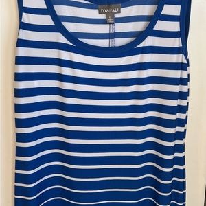 Size 12 roz & Ali maxi dress blue and white